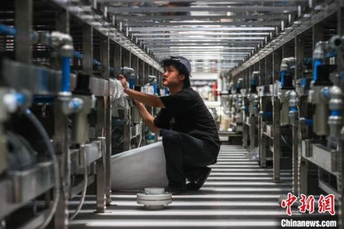 江西贛州 以工業(yè)為抓手 推動革命老區(qū)高質量發(fā)展